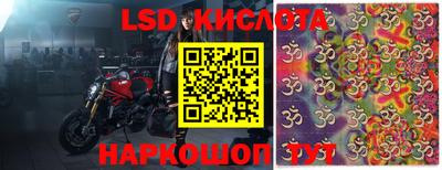 стафф Будённовск