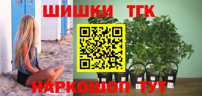 стафф Будённовск