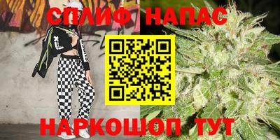 спиды Краснознаменск