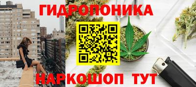 стафф Будённовск