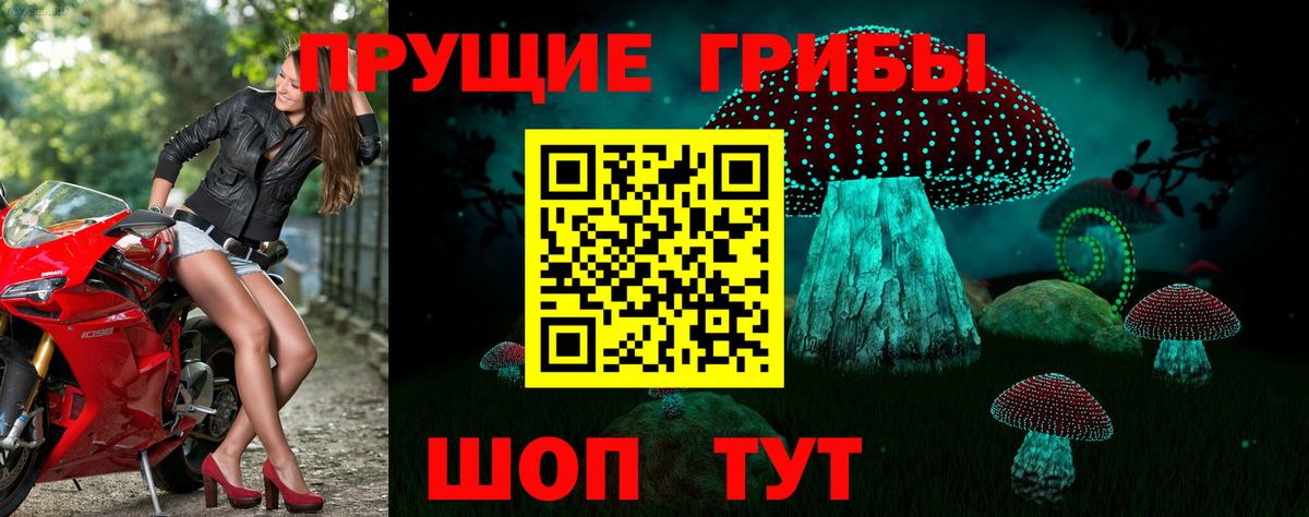 Галлюциногенные грибы GOLDEN TEACHER Волоколамск